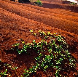 光荣特库摩发布公告：谢绝玩家寄送的情人节礼物
